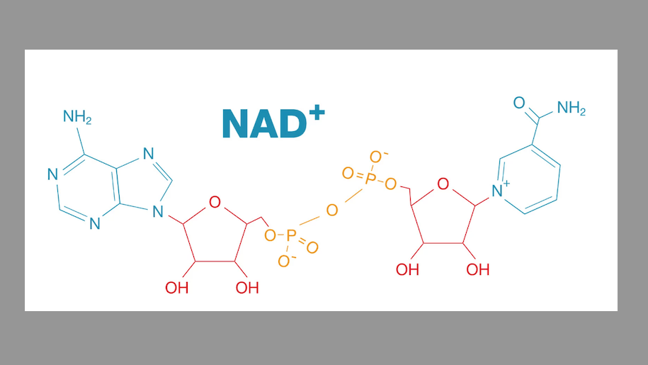 NAD+ IV Therapy in Meridian, ID | Oasis MedSpa & IV Bar